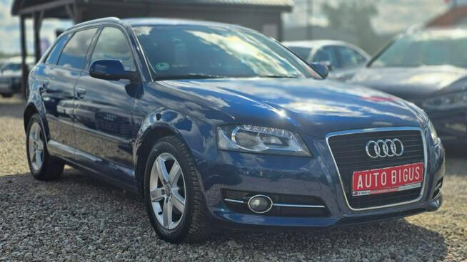 Audi A3 climatronic super stan automat ledy xsenon