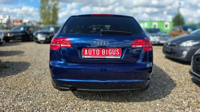Audi A3 climatronic super stan automat ledy xsenon