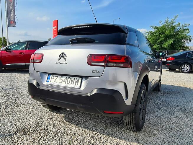 Citroen C4 Cactus SzklanyDach Navi PDC Kamera Asystent Pasa Klimatronik Radar Sensory