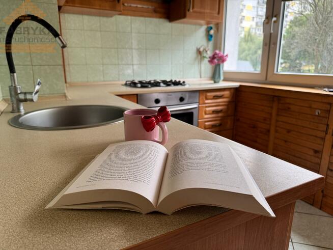 Mieszkanie Łódź, Rojna