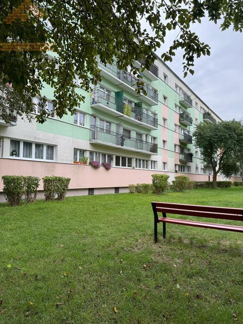 Mieszkanie Łódź, Rojna