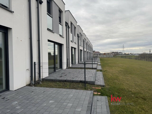 Dom Jarocin, Owsiana