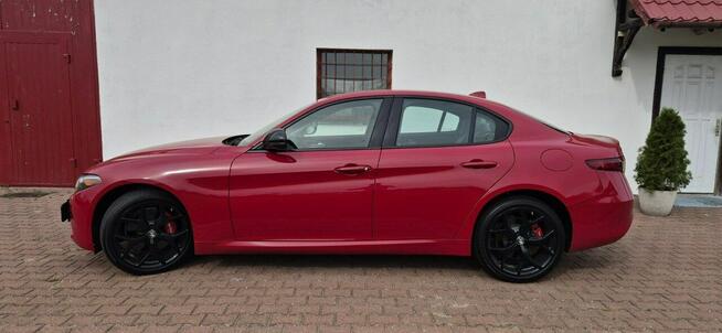 Alfa Romeo Giulia Zarejestrowany