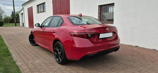 Alfa Romeo Giulia Zarejestrowany