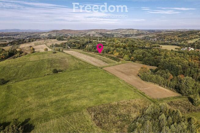 Działka 44 ary przy lesie w Grabówce