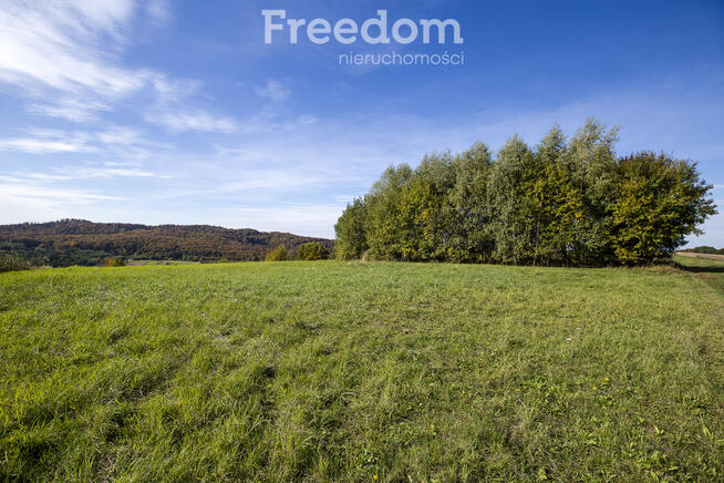 Działka 44 ary przy lesie w Grabówce