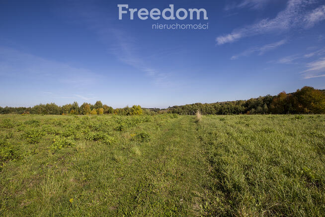 Działka 44 ary przy lesie w Grabówce