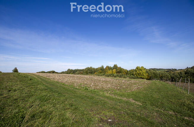 Działka 44 ary przy lesie w Grabówce