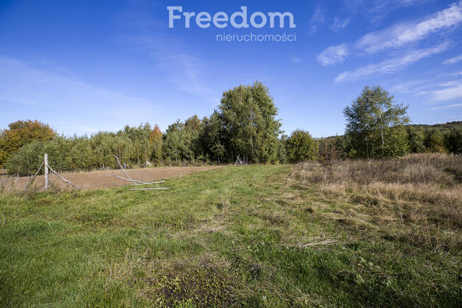 Działka 44 ary przy lesie w Grabówce