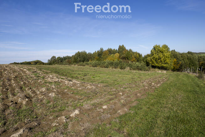 Działka 44 ary przy lesie w Grabówce