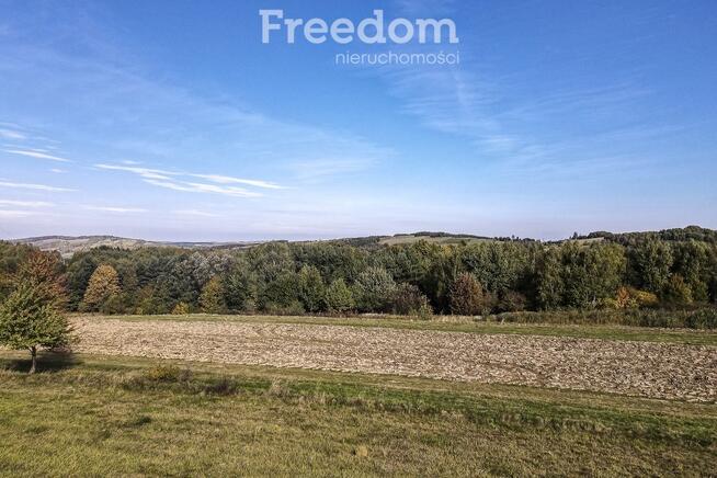 Działka 44 ary przy lesie w Grabówce