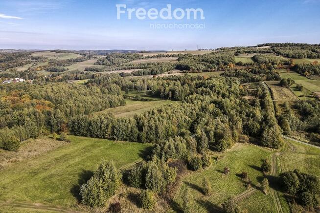 Działka 44 ary przy lesie w Grabówce