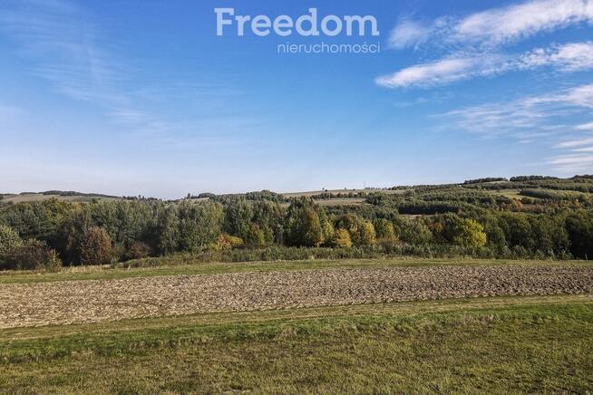 Działka 44 ary przy lesie w Grabówce
