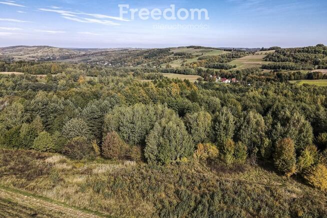 Działka 44 ary przy lesie w Grabówce