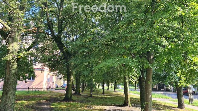 Mieszkanie z potencjałem na Zatorzu!