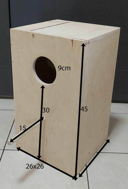 Papuga -- Budka lęgowa aleksandreta