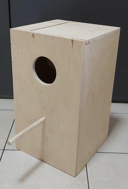 Papuga -- Budka lęgowa aleksandreta