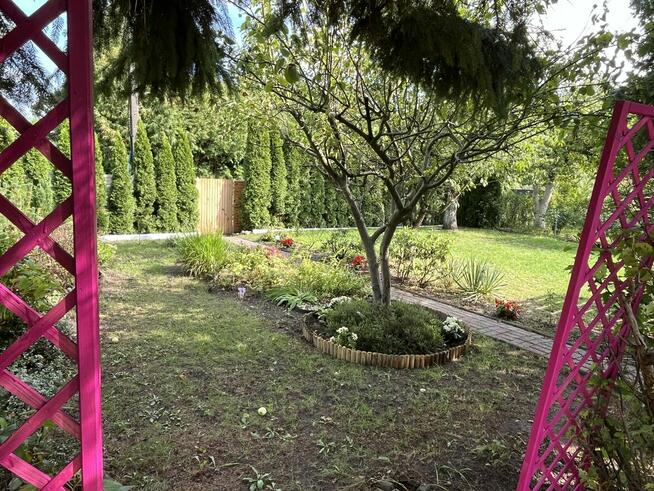 Sprzedam działkę ROD „Piast” – Szczecin, ul. Przy Ogrodach