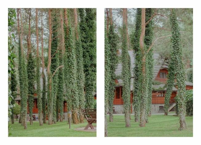 Unikatowa willa do zamieszkania lub pod usługi