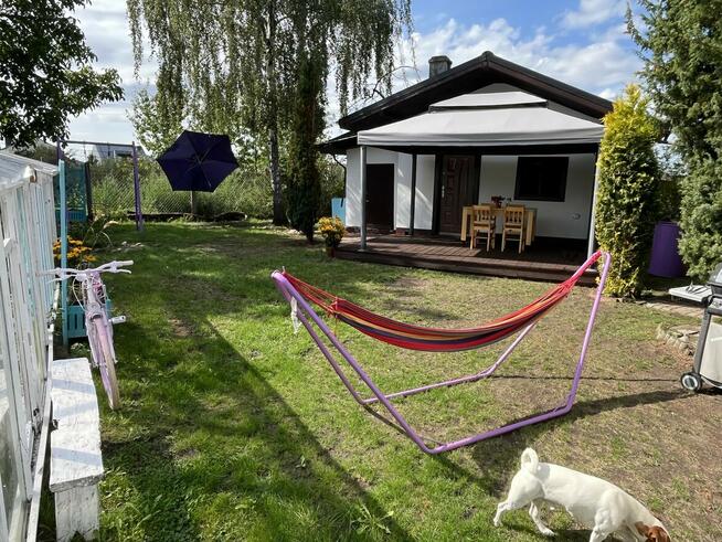 Sprzedam działkę ROD „Piast” – Szczecin, ul. Przy Ogrodach