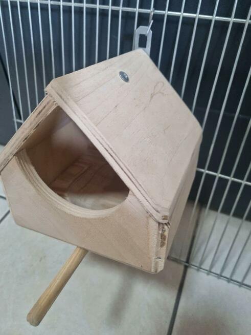 Budka gołąbek diamętowy