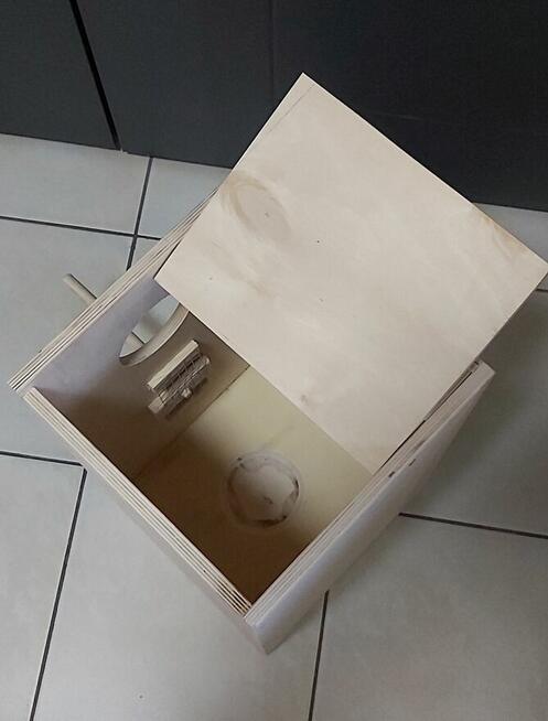 Papuga -- Budka lęgowa aleksandreta