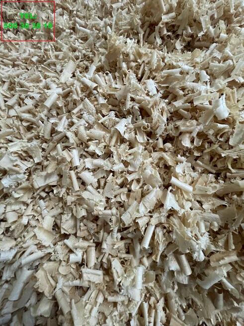 Drewno Drzewo Opałowe Kominkowe Transport