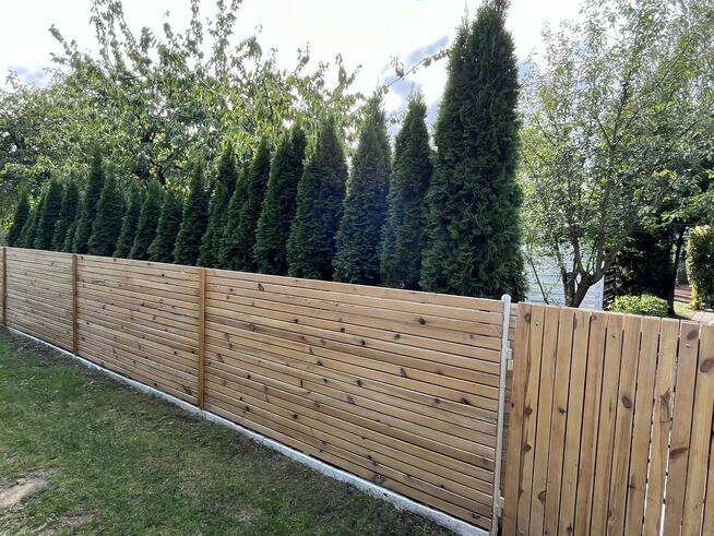 Sprzedam działkę ROD „Piast” – Szczecin, ul. Przy Ogrodach