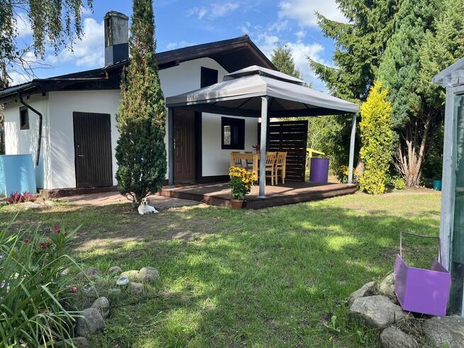 Sprzedam działkę ROD „Piast” – Szczecin, ul. Przy Ogrodach