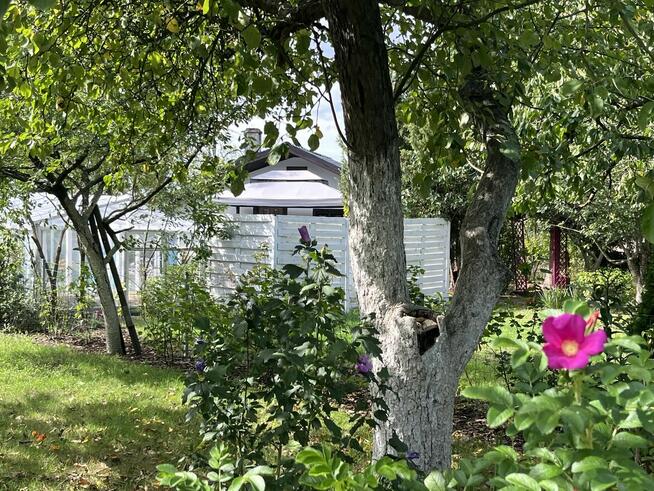 Sprzedam działkę ROD „Piast” – Szczecin, ul. Przy Ogrodach