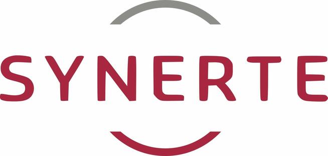 Junior Project Manager