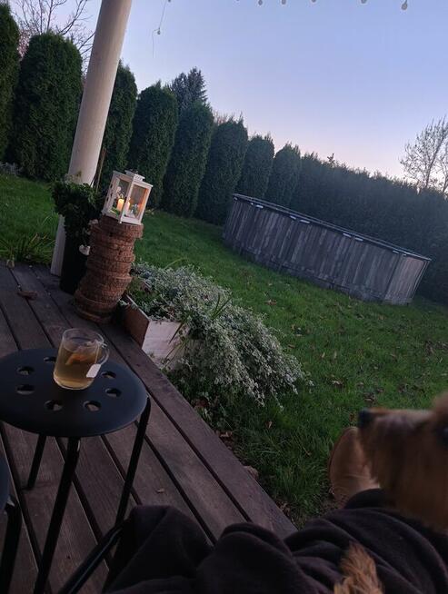 Piękna działka rod z domem murowanym Kalisz