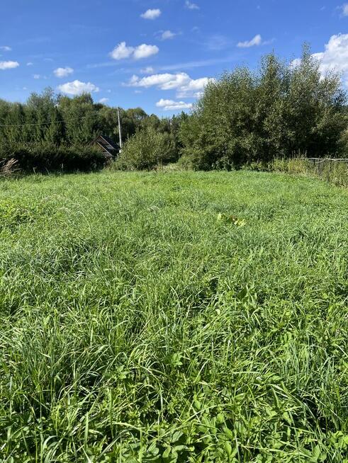 Cena do ustalenia! Sprzedam piękna działkę ,Brzegi Dolne