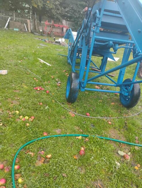 Sortownik do ziemniaków puck