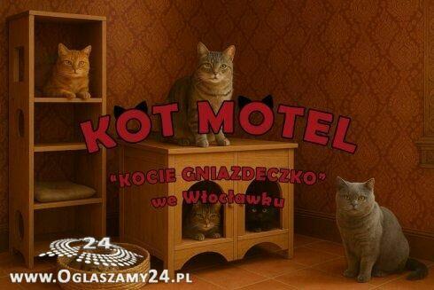 Animator/ka projektu