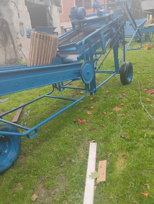 Sortownik do ziemniaków puck