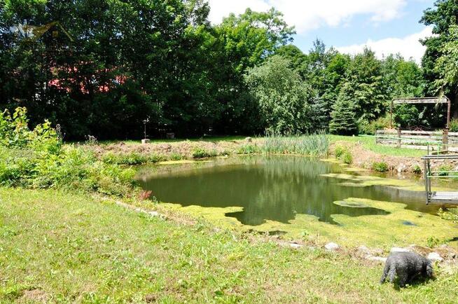 Lokal użytkowy Stare Bogaczowice