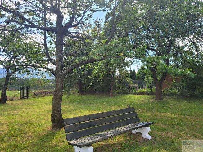 Dom Goleszów, Pszenna