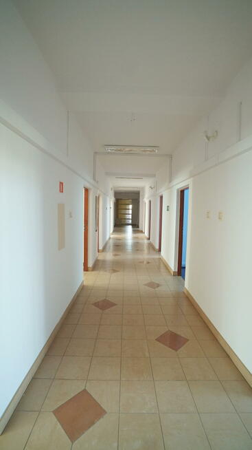 Lokal użytkowy Łomża, Niemcewicza