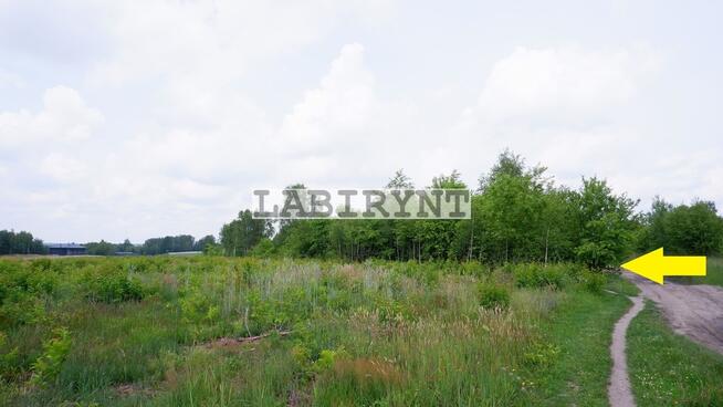 Działka Grabówka, 7286m2, szerokość 26,5m