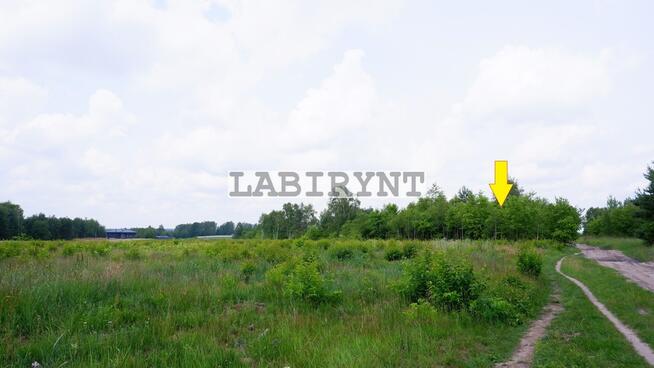 Działka Grabówka, 7286m2, szerokość 26,5m