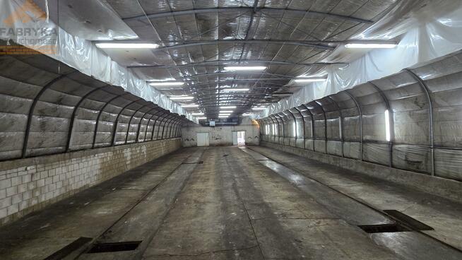 Lokal użytkowy Piotrków Trybunalski Michałów