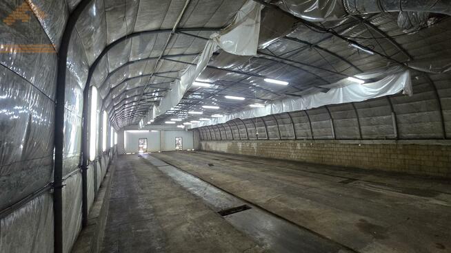 Lokal użytkowy Piotrków Trybunalski Michałów