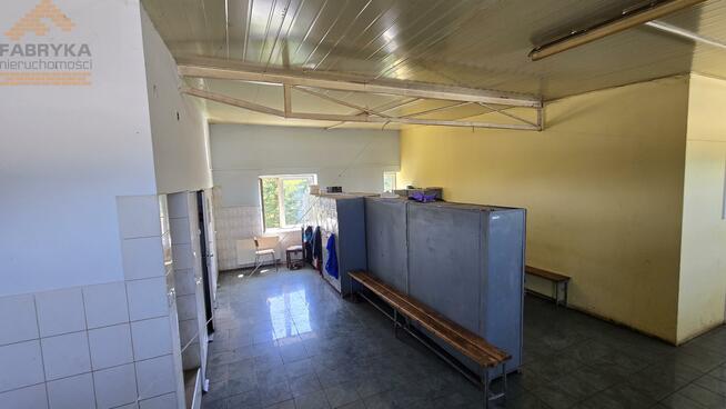 Lokal użytkowy Piotrków Trybunalski Michałów