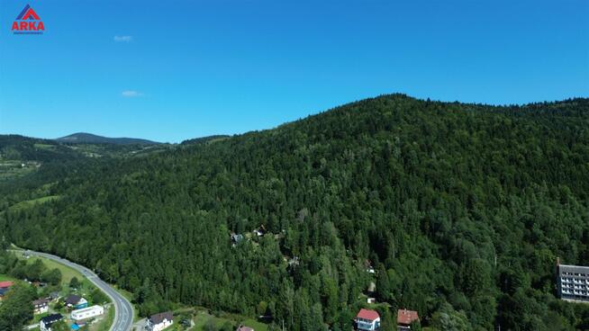 Działka leśna Szczawa