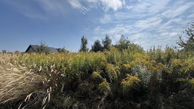 Działka 1067 m2 w Krasieninie gm. Niemce k/Lublina