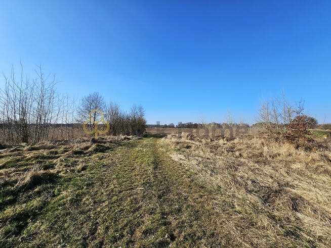 Działka usługowa Kawcze gm. Śrem,