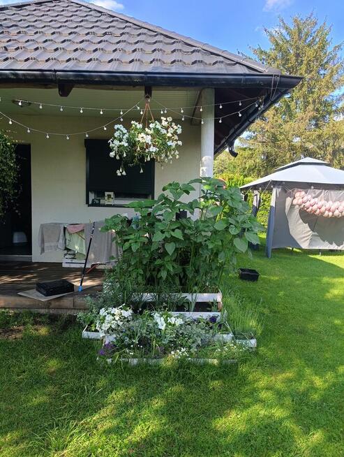 Piękna działka rod z domem murowanym Kalisz