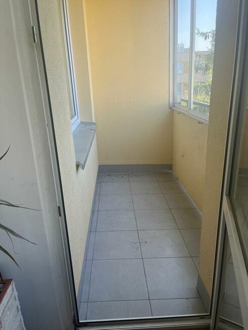 Słoneczne , rozkładowe, SADYBA