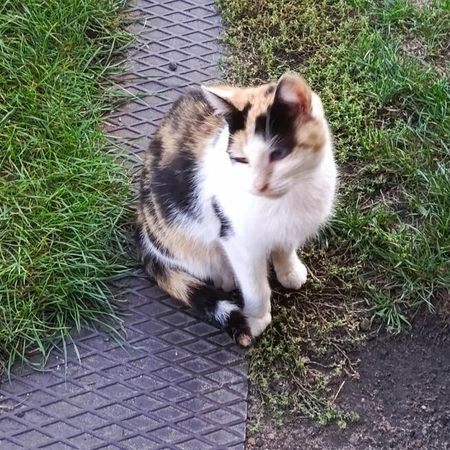 Po śmierci mojego Pana straciłam domek :(